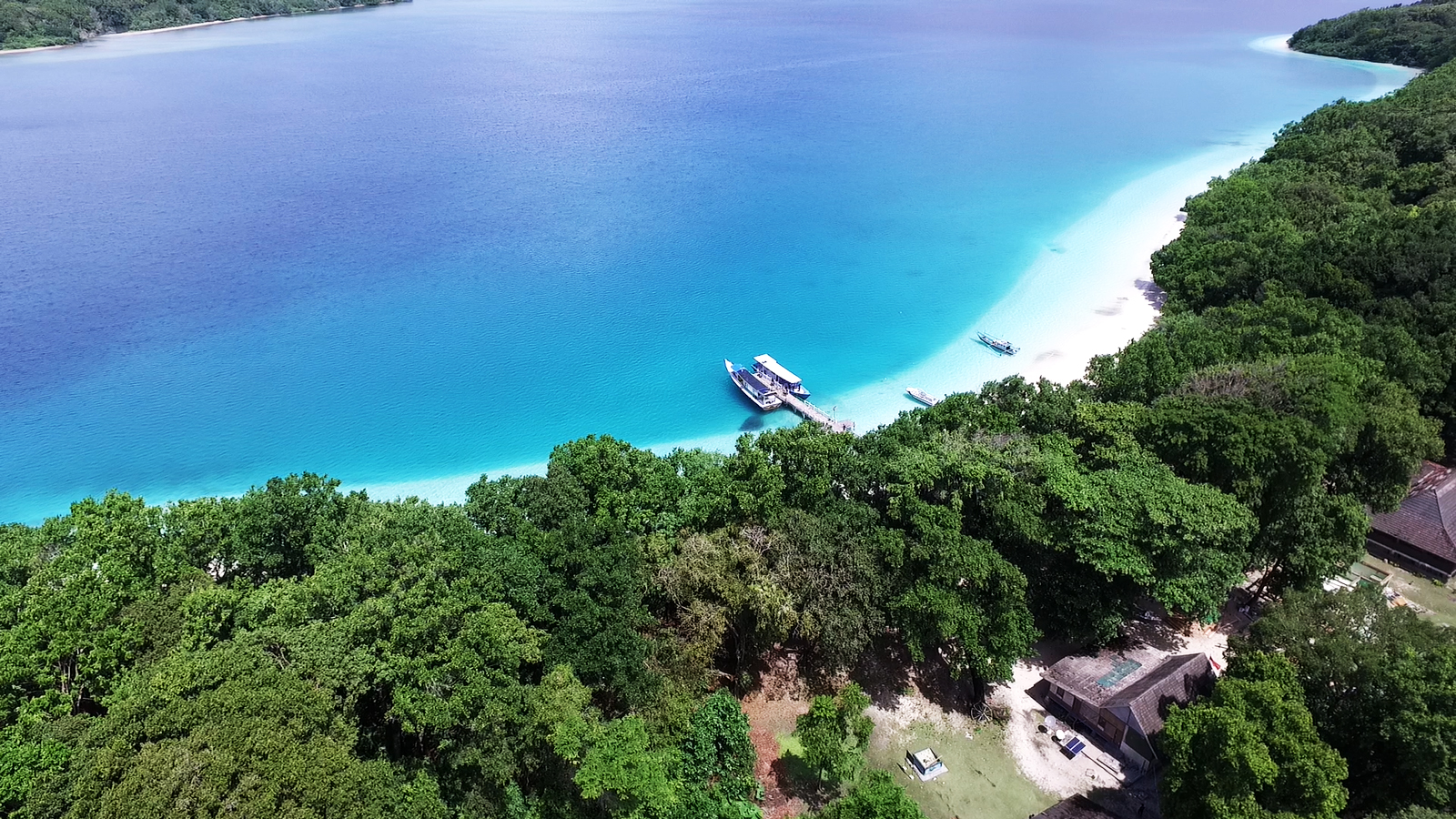 Keindahan Wisata Pulau Peucang: Surga Tersembunyi di Ujung Kulon