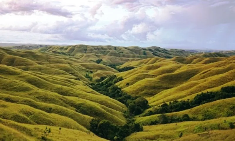 Keindahan Wisata Bukit Warinding: Savana Sumba yang Memukau