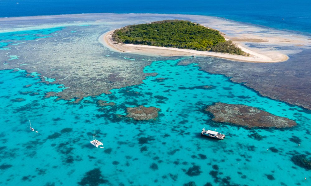 Great Barrier Reef: Keajaiban Alam di Australia