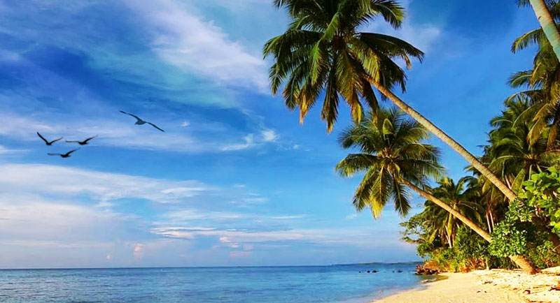 Keindahan Wisata Pantai Barakuda: Pesona Tersembunyi di Karimunjawa