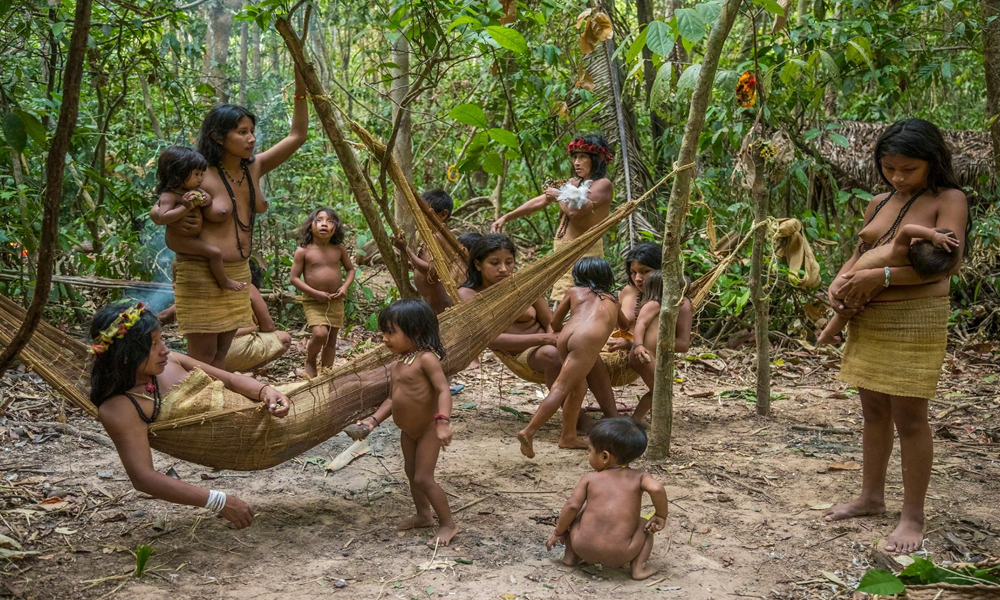 Suku-Suku Asli Amazon: Penjaga Hutan dengan Kearifan Lokal