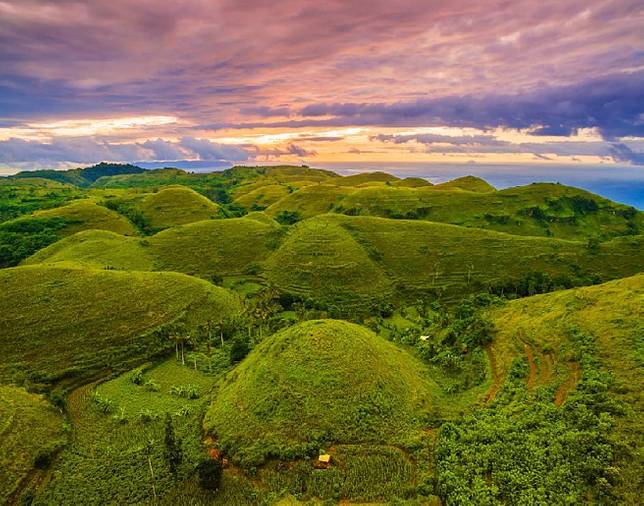 Pesona Bukit Teletubbies Bromo: Permadani Hijau di Tengah Lautan Pasir